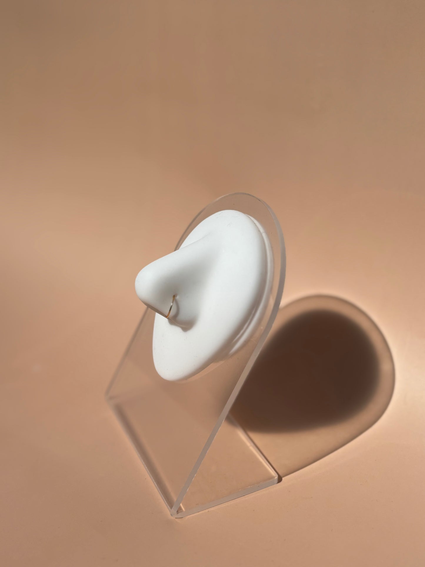 Piercing Nez Cercle Pur